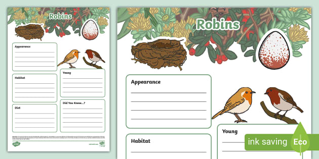 Robins Fact File Template L Insegnante Ha Fatto Twinkl