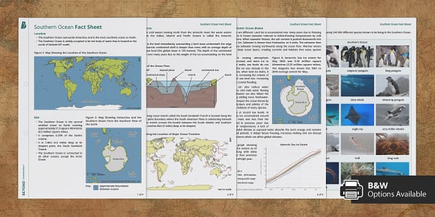 Marine Biomes Southern Ocean Fact File Teacher Made