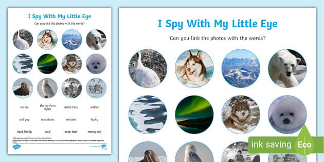 Polar Regions Themed I Spy Photo Activity Worksheet Worksheet Polar