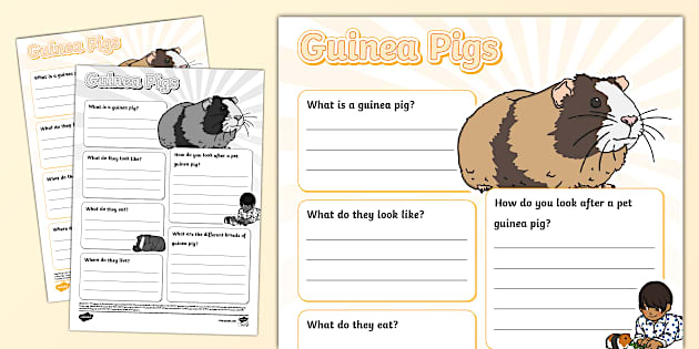 Guinea Pig Fact File Template L Enseignant A Fait Twinkl