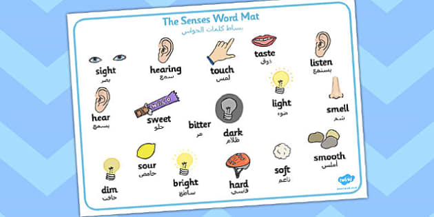 The Senses Word Mat Arabic Translation Lehrer Gemacht