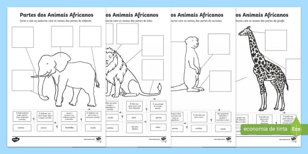 Partes Dos Animais Africanos L Insegnante Ha Fatto