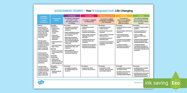 Life Changes Yr 1 IU Assessment Rubric Twinkl