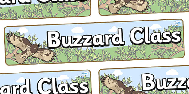 FREE Buzzard Themed Classroom Display Banner Twinkl