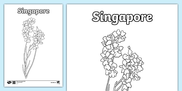 National Flower Of Singapore Colouring Sheet Profesor Hizo