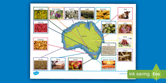 Australian Food Map Teacher Made Twinkl