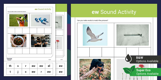 Reinforcing Sounds Ew Cut And Stick Activity Twinkl