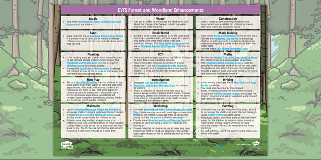 EYFS Forest And Woodland Enhancement Ideas Teacher Made