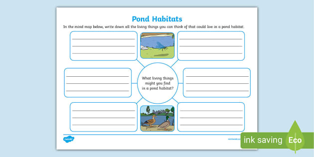 Pond Habitats Mind Map Teacher Made Twinkl