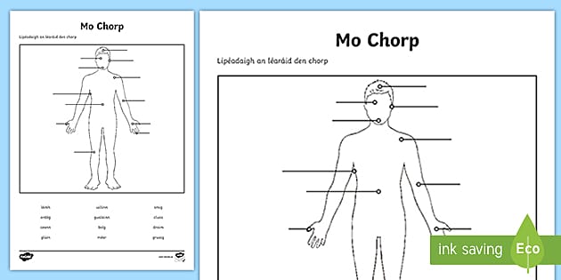 My Body Matching Activity Gaeilge Teacher Made Twinkl