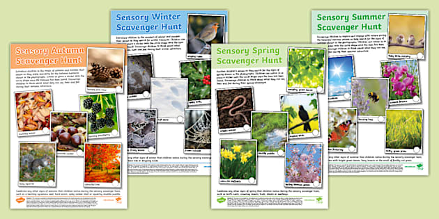 The Seasons Sensory Scavenger Hunts Activity Pack Twinkl