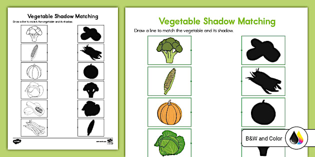 Vegetable Shadow Matching Activity Professor Feito