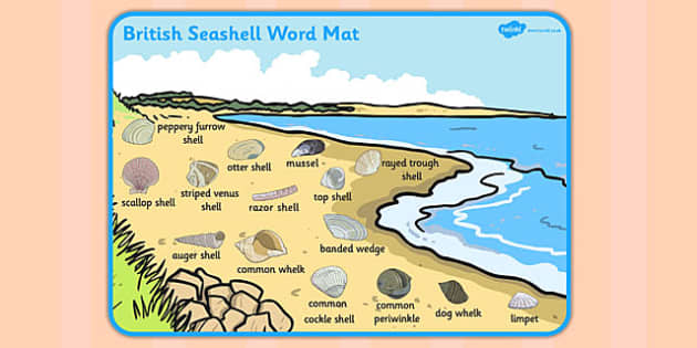 British Seashell Scene Word Mat Professor Feito Twinkl