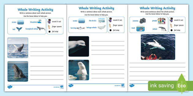 Whale Early Writing Activity Twinkl Ks Lehrer Gemacht