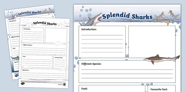 Sharks Non Chronological Report Template Twinkl