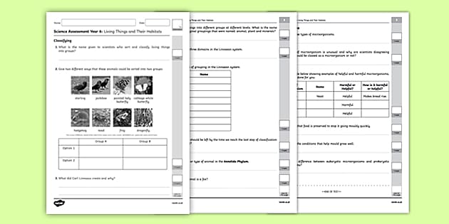 Living Things And Their Habitats Year 6 Assessment Twinkl