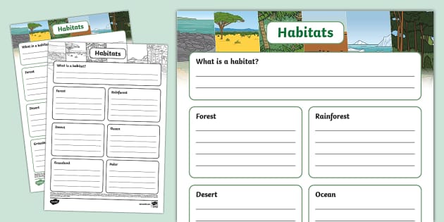 KS1 Habitat Fact File Template Hecho Por Educadores