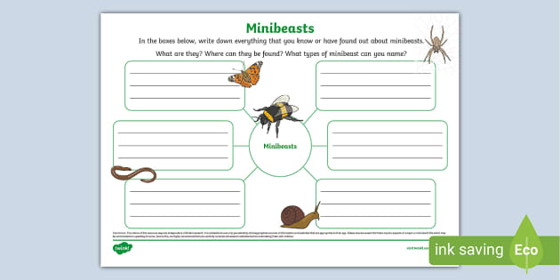 Minibeasts Mind Map Teacher Made Twinkl