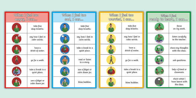 The Regulators Emotions Regulation Cards Professor Feito