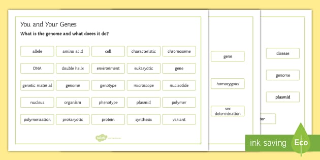 OCR 21st Century Combined Science You And Your Genes Word Mat