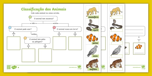 Plano De Aula Animais Vertebrados E Invertebrados