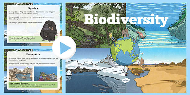 Biodiversity Information PowerPoint Teacher Made