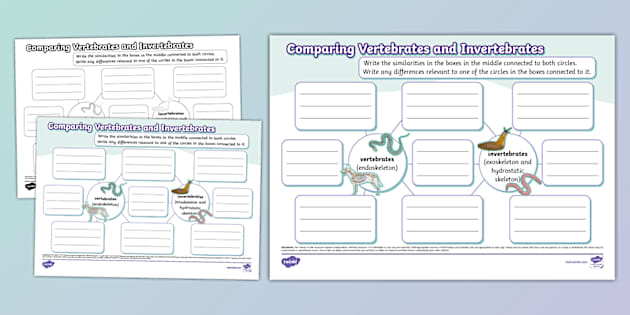 Comparing Vertebrates And Invertebrates Mind Map Twinkl