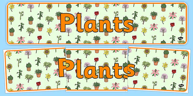 FREE Plants Display Banner Lehrer Gemacht Twinkl