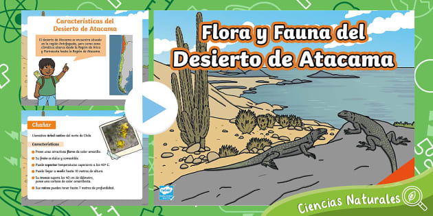 Powerpoint Flora Y Fauna Del Desierto De Atacama Twinkl