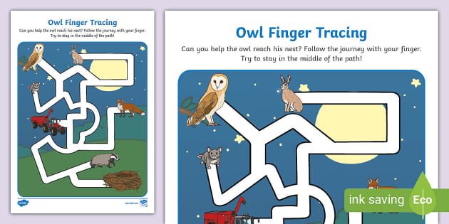 Owl Finger Tracing Activity Profesor Hizo Twinkl