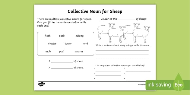 Collective Noun Sheep Worksheet Teacher Made Twinkl