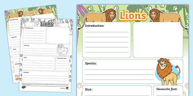 Lion Non Chronological Report Template Teacher Made