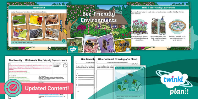 Science Minibeasts Bee Friendly Environments Year 2