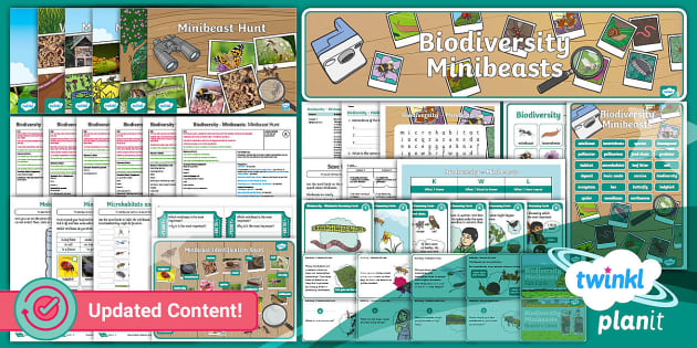 Science Biodiversity Minibeasts Unit Pack Year