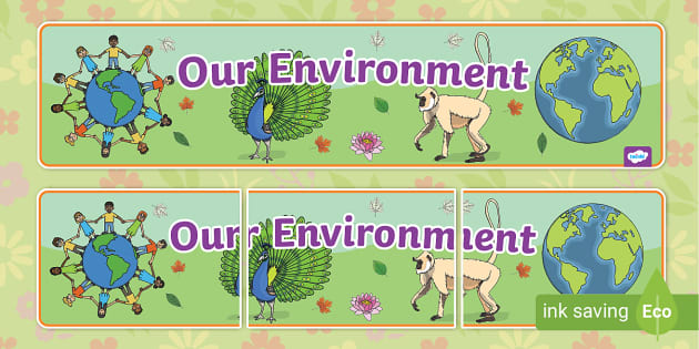 NEW Our Environment Display Banner Professor Feito