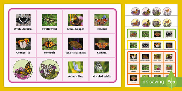 FREE Butterfly Bingo Game Printable Professor Feito