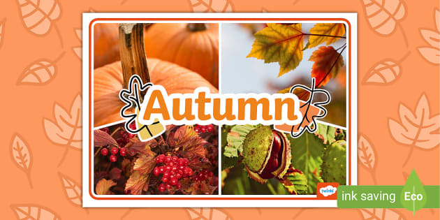 NEW Autumn Display Poster Lehrer Gemacht Twinkl