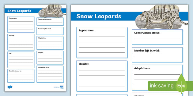 Snow Leopard Fact File Template Leopard Twinkl