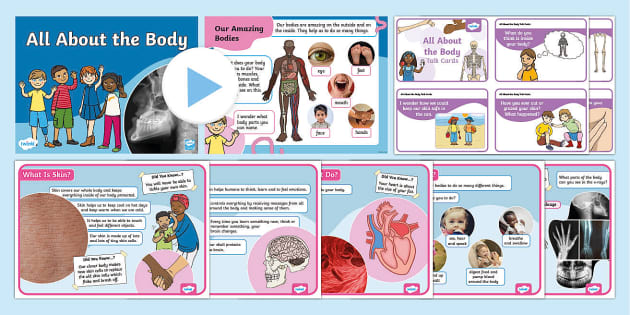 All About The Body Powerpoint And Fact Files Pack Twinkl