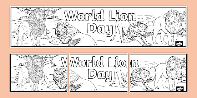 World Lion Day Colouring Display Banner Lehrer Gemacht