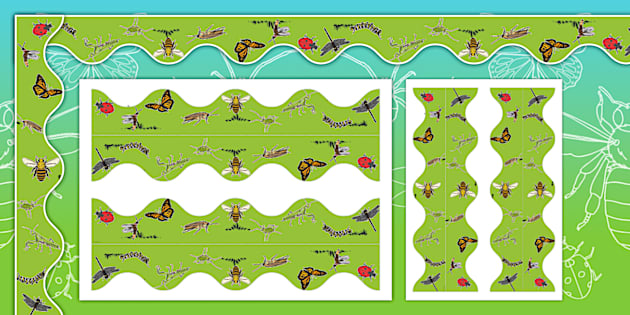 Insect Week Display Borders Lehrer Gemacht Twinkl