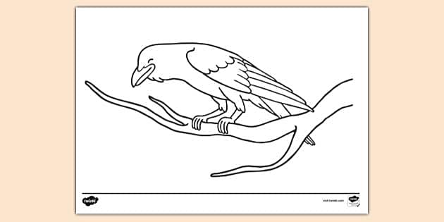 FREE Crow Sitting On Branch Colouring Sheet Colouring Sheets