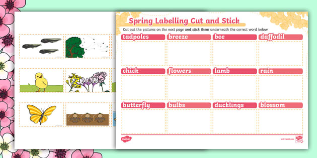 Ks Spring Scene Labelling Cut And Stick Worksheet Twinkl