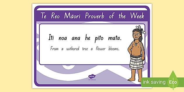 What Is A Whakatauk Nz M Ori Proverbs Explained Twinkl