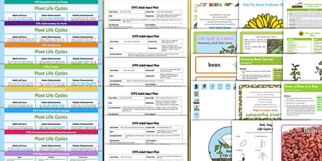 EYFS Plant Life Cycles Bumper Planning Pack Lehrer Gemacht