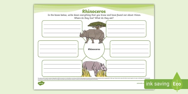 NEW Rhinoceros Mind Map Lehrer Gemacht Twinkl