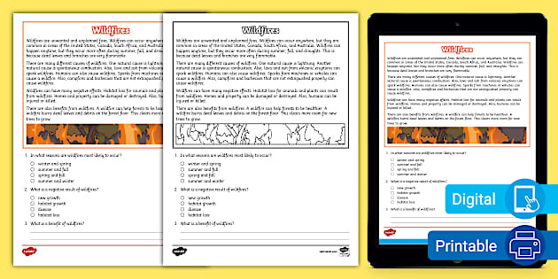 Fourth Grade Wildfires Reading Passage Comprehension