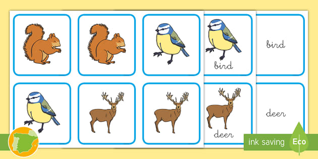 A1 Tarjetas de emparejar Animales del bosque en inglés