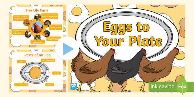 Eggs To Your Plate PowerPoint L Insegnante Ha Fatto