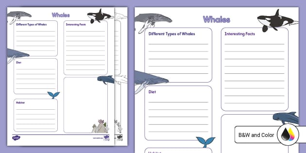 Whale Facts Template Teacher Made Twinkl